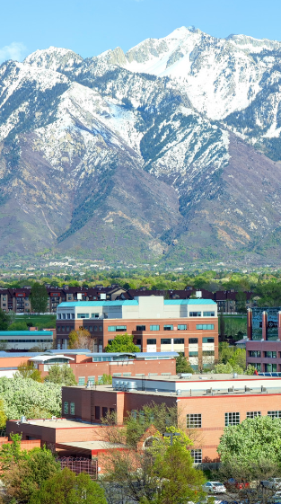 Digital Marketing Company Sandy, Utah